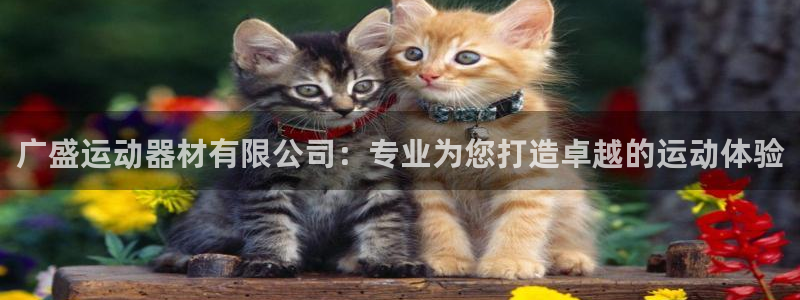 BWIN体育官方正版app娱乐首页网站大全：广盛运动器材有限