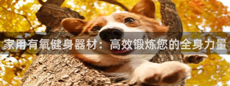 BWIN体育官网下载平台假的吗是真的吗：家用有氧健身器材：高