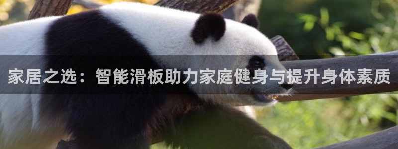 BWIN体育官方正版app开户：家居之选：智能滑板助力家庭健