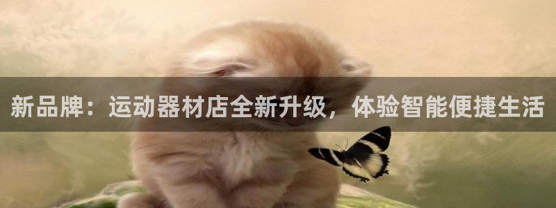 BWIN官方平台体育：新品牌：运动器材店全新升级，体验智能便