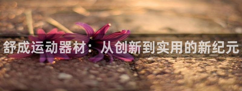 BWIN体育官网下载平台假的吗是真的吗：舒成运动器材：从创新