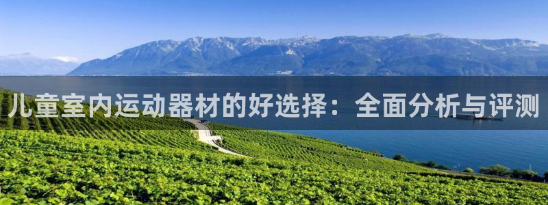 BWIN体育官网下载招商：儿童室内运动器材的好选择：全面分析