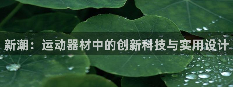 BWIN体育官方正版app集团官网网址：新潮：运动器材中的创