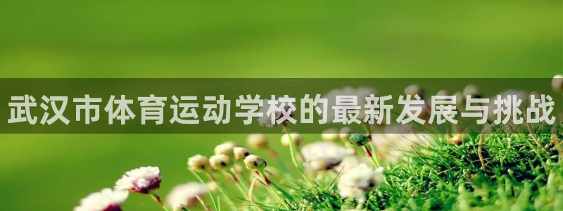 77体育官网：武汉市体育运动学校的最新发展与挑战