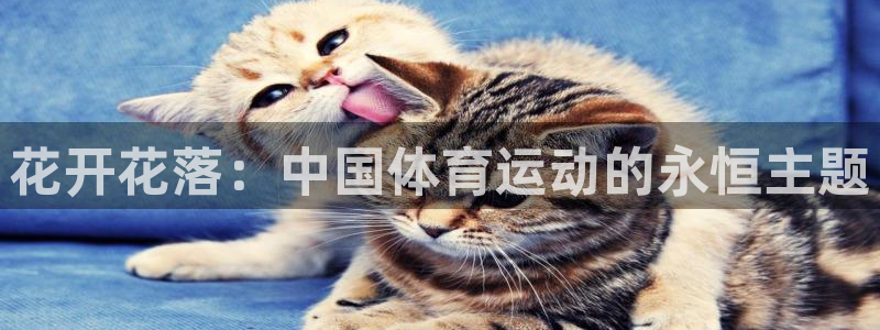 77体育官网