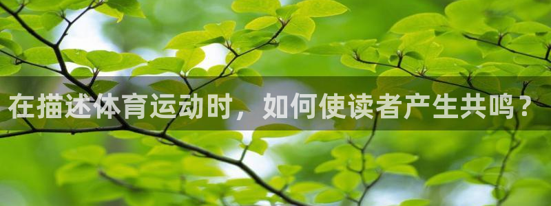 77体育app下载官网