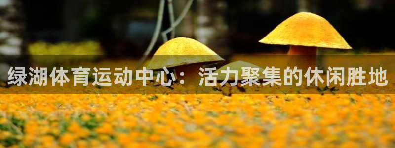 77体育官网：绿湖体育运动中心：活力聚集的休闲胜地