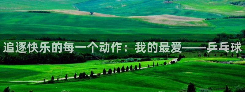 77体育