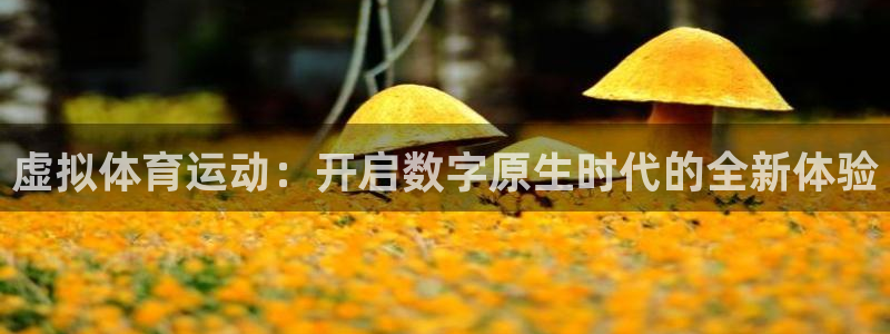 77体育：虚拟体育运动：开启数字原生时代的全新体验