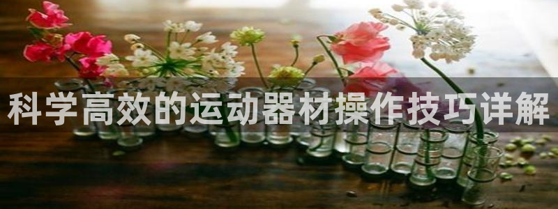 BWIN体育官方正版app娱乐网站：科学高效的运动器材操作技